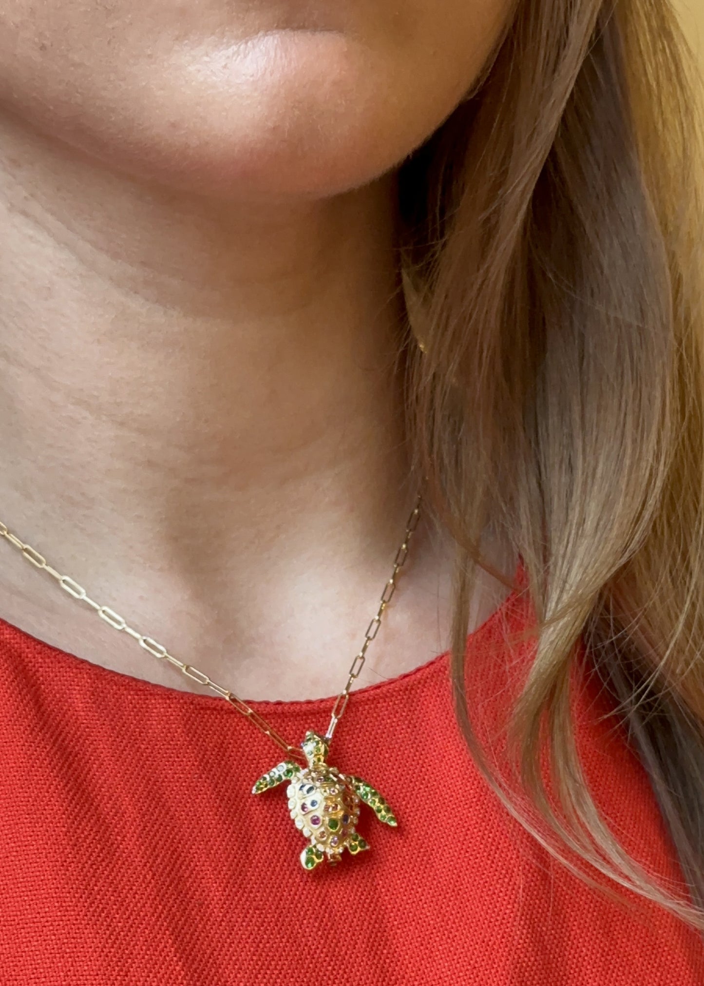 Turtle Pendant-Brooch