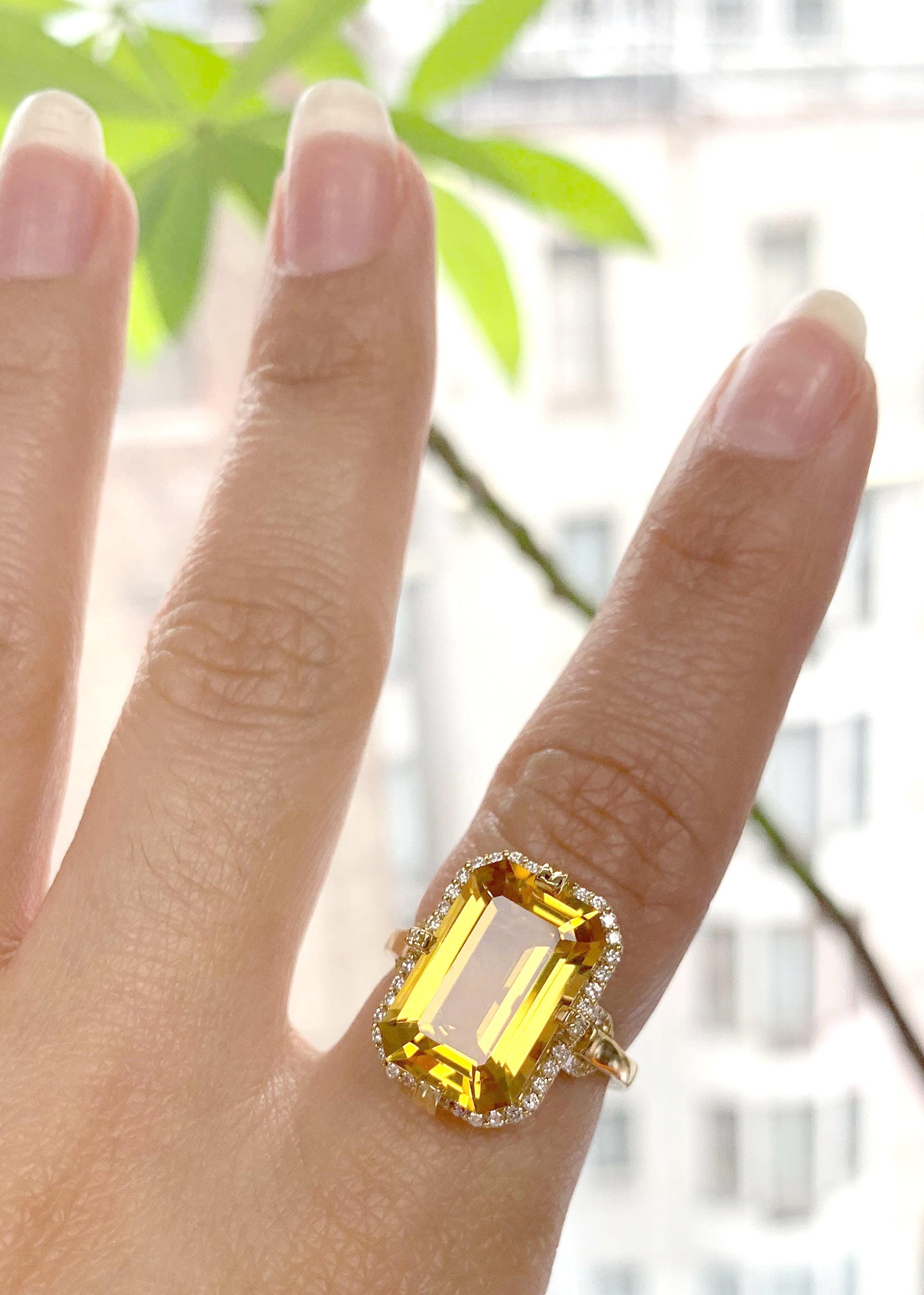 Yellow gold-Citrine