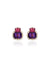 Amethyst with Garnet