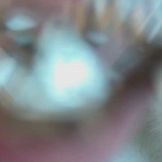 Yellow gold-Prasiolite